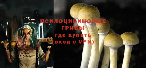 трава Ладушкин