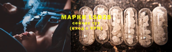 гидра Кукмор