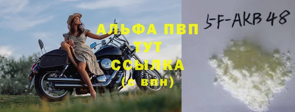 гидра Кукмор