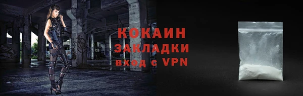 шишки Бабаево