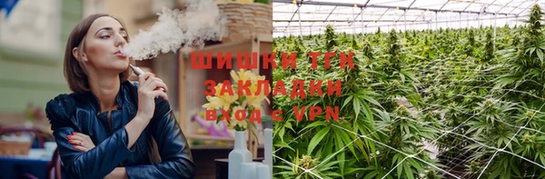 гидра Кукмор