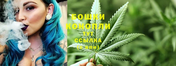 трава Ладушкин