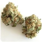Шишки "White Widow"  (Белая вдова)  Гидропоника -  Бошка VHQ в Миньяре